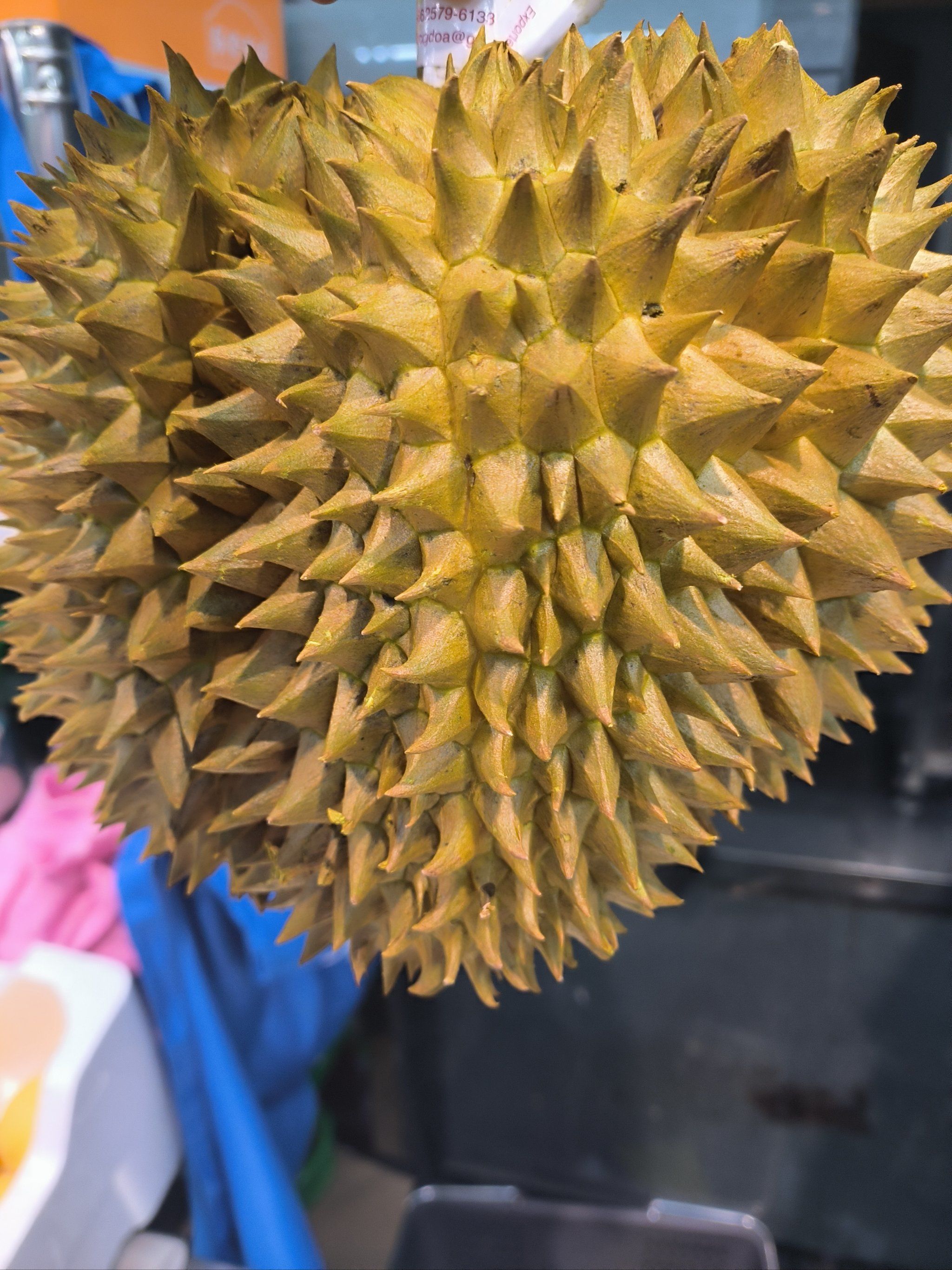 榴莲控的狂欢季