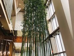 -上海柏悦酒店·世纪100牛排馆
