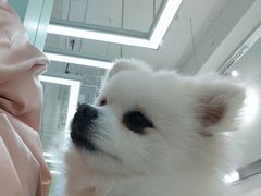 -怪兽屋·羊驼·猫咖·狗咖(俊华广场店)