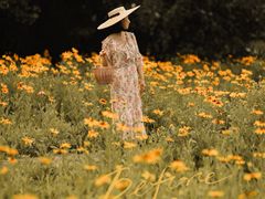 -上海滨江森林公园