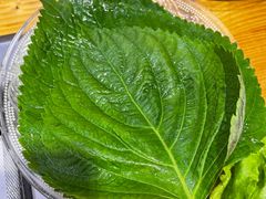 -口岸齐齐哈尔烤肉(风尚米兰总店)