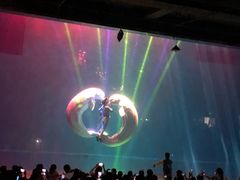 -芜湖新华联大白鲸海洋公园