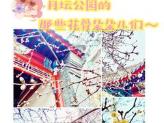 -月坛公园