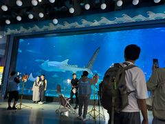 -烟台海昌鲸鲨海洋公园