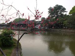 -江心屿景区