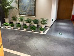 -黑松白鹿(金融街店)