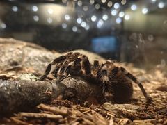 -太平洋海底世界