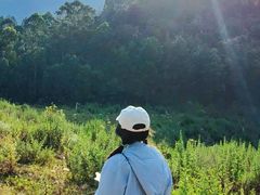 -长虫山生态公园风景林