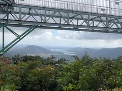 -呀诺达热带雨林