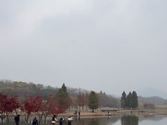 -佛手湖郊野公园