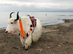 -青海湖国家重点风景名胜区