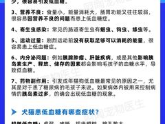 -瑞鹏宠物医院犬猫全科(真大分院)
