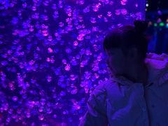 -重庆欢乐海底世界