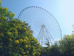 -凤岭儿童公园
