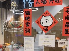 -COLOR PETS 撸猫馆·购猫·猫咖(长风大悦城店)