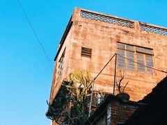 -莞翟蔴茶王(东莞记忆店)