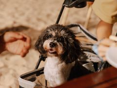 -石梅湾艾美度假酒店