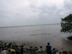 -宝安西湾红树林湿地公园