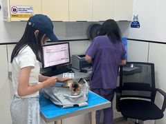 -萌兽医馆·绝育·24小时内科·宠物医院(德胜店)