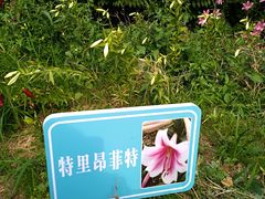-文瀛公园