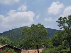 -无锡动物园·太湖欢乐园