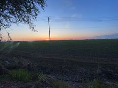 -天发长铁锅炖(王秀村店)