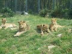 -西安秦岭野生动物园
