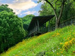 -西湖风景区-江洋畈生态公园