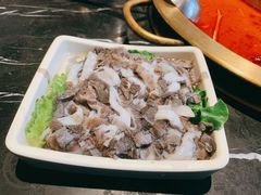 -杨家火锅(国美店)