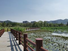 -长兴太湖图影湿地文化园