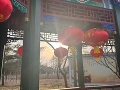 -曹州牡丹园