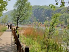 -白河湾生态旅游一条川