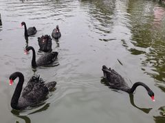 -粤湘情(珠海海泉湾店)