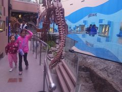 -陕西自然博物馆