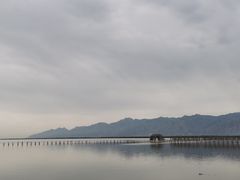-哈素海