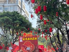 -越秀西湖花市(广州城市广场花卉店)