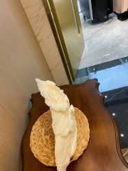 -铂诗玥医美