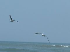 -那香海钻石沙滩浴场
