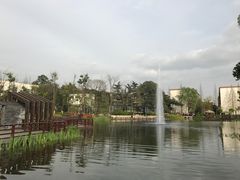 -成飞公园