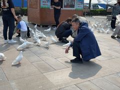 -天津妈祖文化园