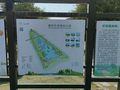 -芒洲湿地公园