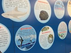 -上海海洋大学鱼文化博物馆(军工路校区)