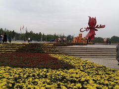 -曹州牡丹园