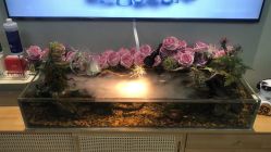 -Lumi露米·美甲美睫品质店