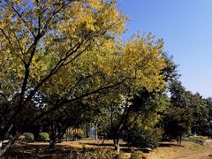 -永定河休闲森林公园