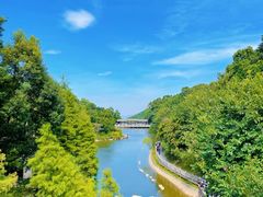 -广州市帽峰山景区