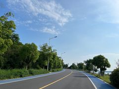 -西京湾花海