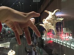 -青岛贝壳博物馆