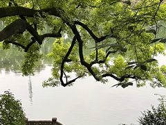 -溪口-滕头旅游景区