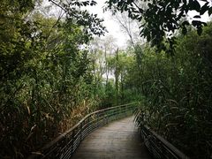 -西湖风景区-江洋畈生态公园